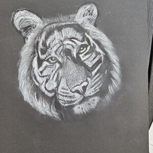 White Tiger Sketch on Black Canvas Hand Crafted Original